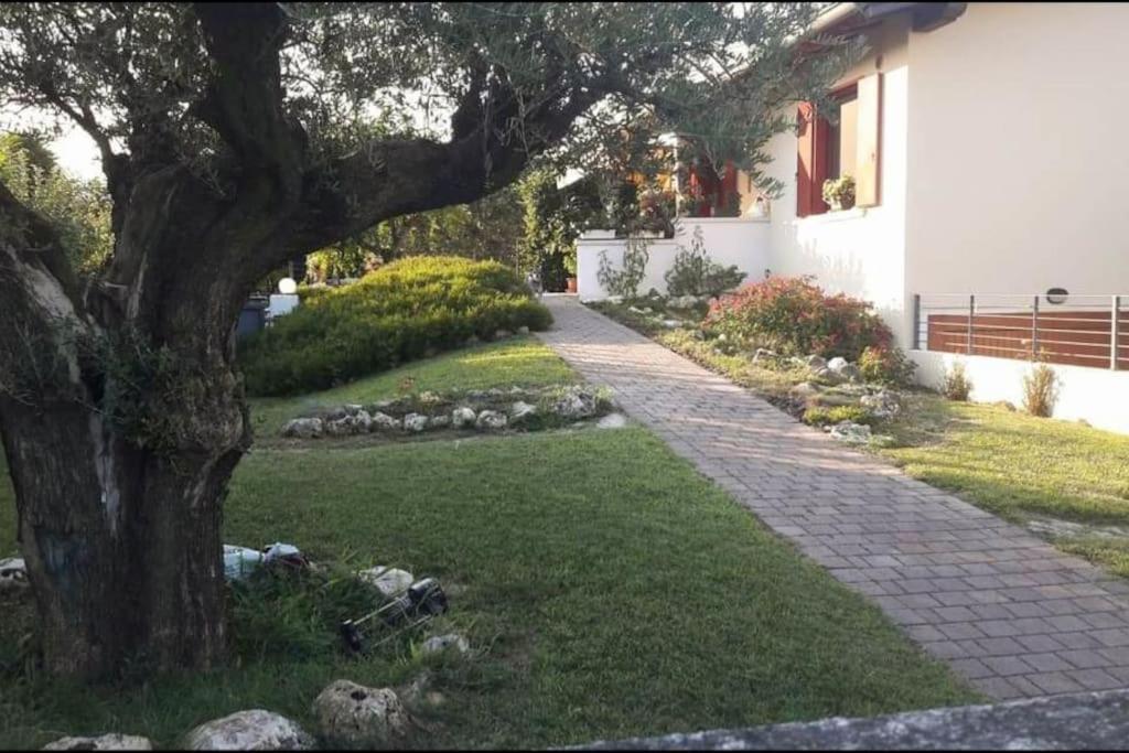 Villa Ama Pordenone Extérieur photo