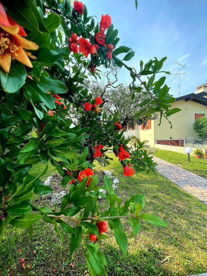 Villa Ama Pordenone Extérieur photo