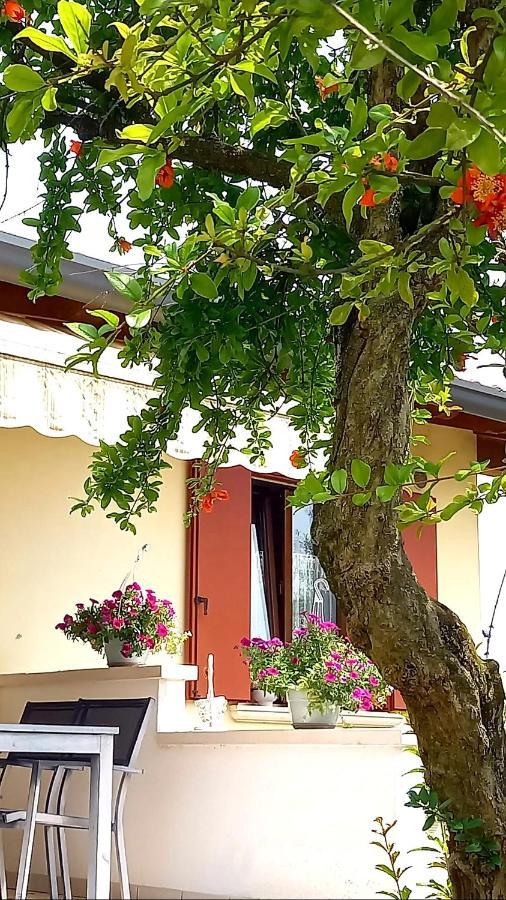 Villa Ama Pordenone Extérieur photo